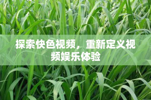 探索快色视频,重新定义视频娱乐体验 探索快色视频,重新定义视频娱乐体验