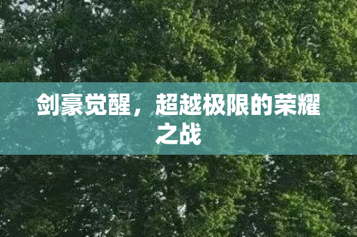 剑豪觉醒，超越极限的荣耀之战