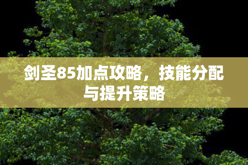 剑圣85加点攻略，技能分配与提升策略