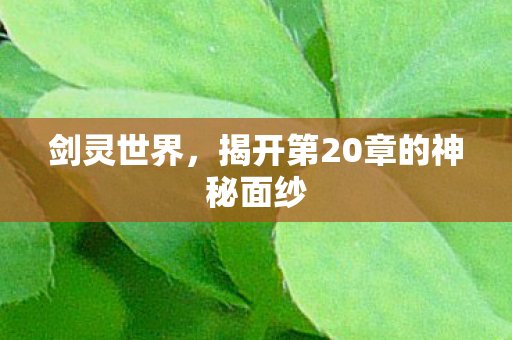 剑灵世界,揭开第20章的神秘面纱 剑灵世界,揭开第20章的神秘面纱