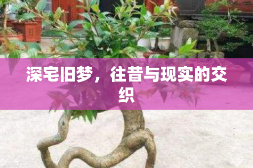 深宅旧梦,往昔与现实的交织 深宅旧梦,往昔与现实的交织