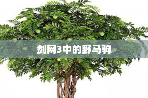 剑网3中的野马驹 剑网3中的野马驹