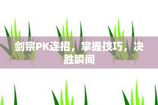 剑宗PK连招,掌握技巧,决胜瞬间 剑宗PK连招,掌握技巧,决胜瞬间