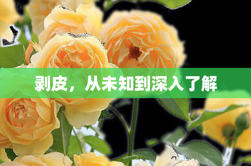剥皮，从未知到深入了解