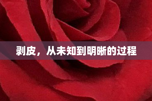 剥皮，从未知到明晰的过程