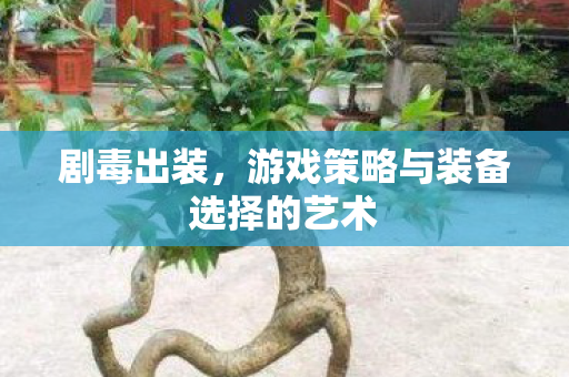 剧毒出装,游戏策略与装备选择的艺术 剧毒出装,游戏策略与装备选择的艺术