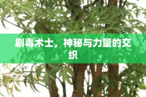 剧毒术士,神秘与力量的交织 剧毒术士,神秘与力量的交织