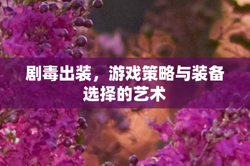 剧毒出装,游戏策略与装备选择的艺术 剧毒出装,游戏策略与装备选择的艺术