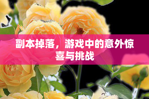 副本掉落，游戏中的意外惊喜与挑战