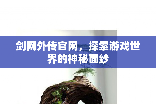 剑网外传官网，探索游戏世界的神秘面纱