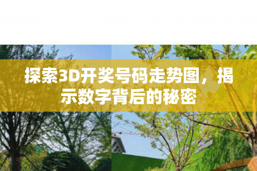 探索3D开奖号码走势图，揭示数字背后的秘密