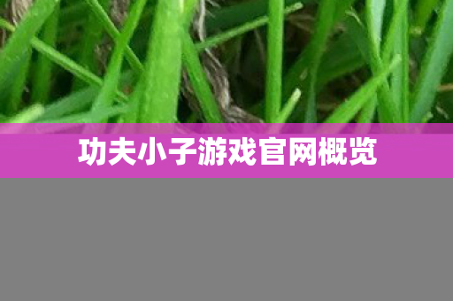 功夫小子游戏官网概览 功夫小子游戏官网概览