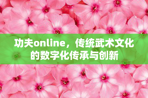 功夫online,传统武术文化的数字化传承与创新 功夫online,传统武术文化的数字化传承与创新