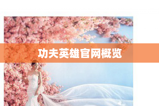 功夫英雄官网概览 功夫英雄官网概览