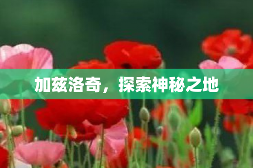 加兹洛奇，探索神秘之地