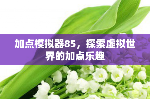 加点模拟器85，探索虚拟世界的加点乐趣