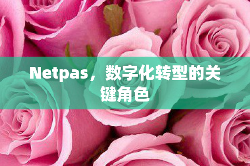 Netpas，数字化转型的关键角色
