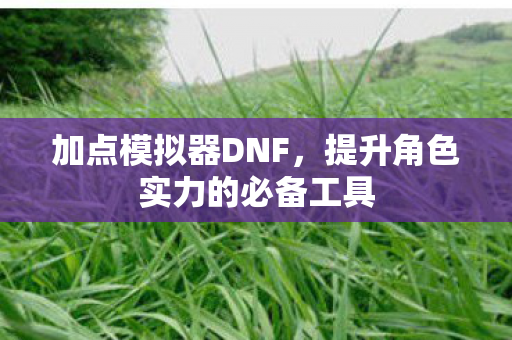 加点模拟器DNF，提升角色实力的必备工具