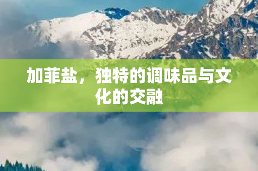 加菲盐，独特的调味品与文化的交融