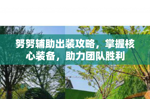 努努辅助出装攻略，掌握核心装备，助力团队胜利