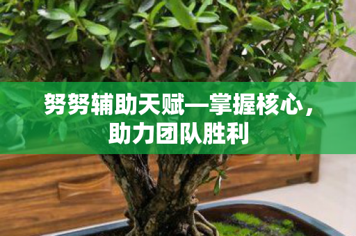 努努辅助天赋—掌握核心，助力团队胜利