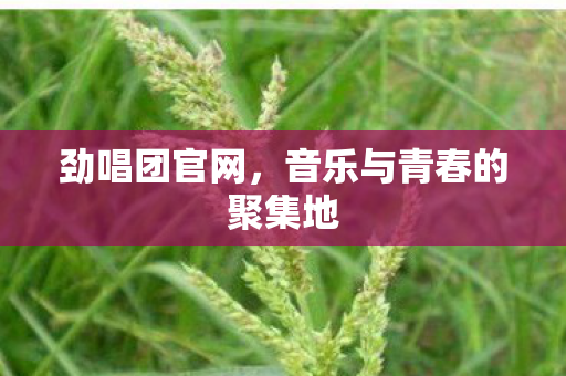 劲唱团官网,音乐与青春的聚集地 劲唱团官网,音乐与青春的聚集地