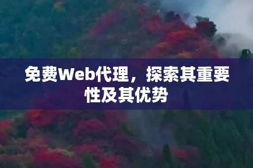 免费Web代理，探索其重要性及其优势
