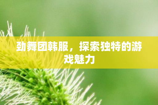 劲舞团韩服，探索独特的游戏魅力