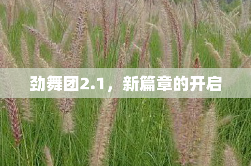 劲舞团2.1，新篇章的开启