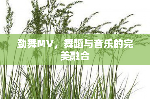 劲舞MV，舞蹈与音乐的完美融合