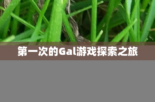 第一次的Gal游戏探索之旅 第一次的Gal游戏探索之旅