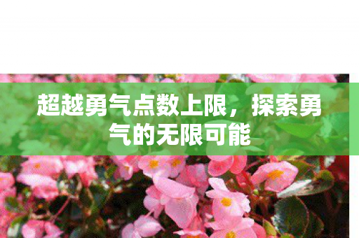 超越勇气点数上限，探索勇气的无限可能