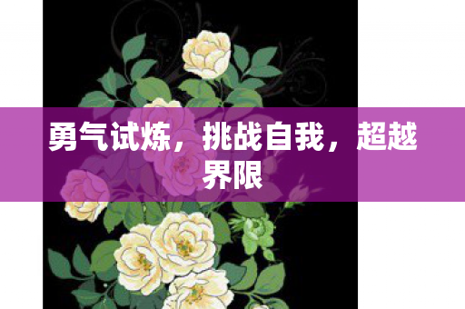 勇气试炼，挑战自我，超越界限