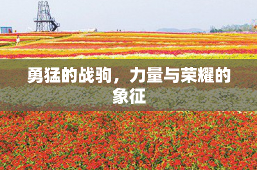 勇猛的战驹，力量与荣耀的象征