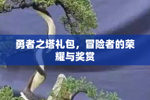 勇者之塔礼包，冒险者的荣耀与奖赏