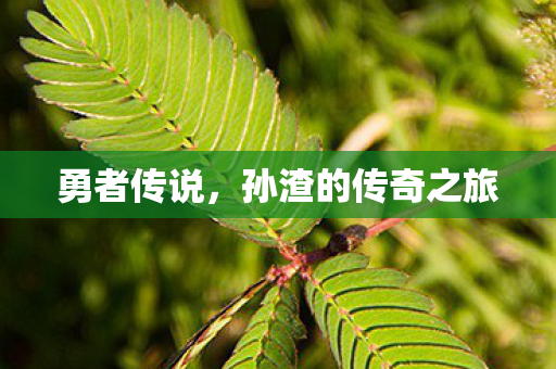 勇者传说，孙渣的传奇之旅