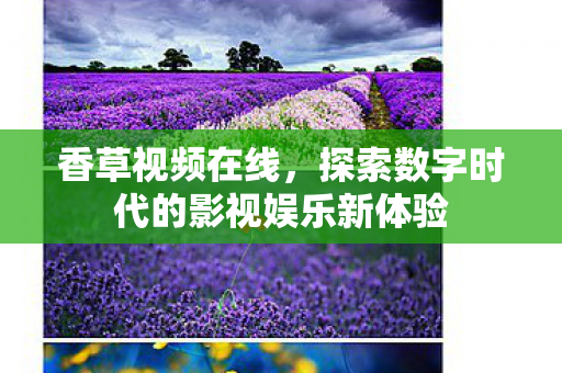 香草视频在线,探索数字时代的影视娱乐新体验 香草视频在线,探索数字时代的影视娱乐新体验