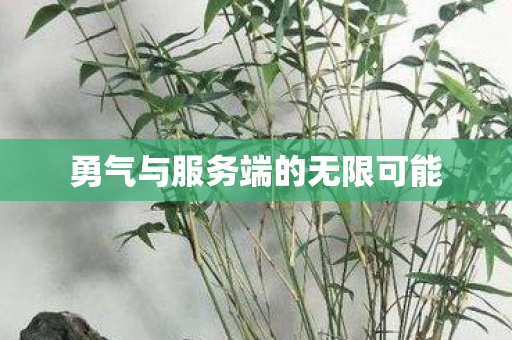 勇气与服务端的无限可能
