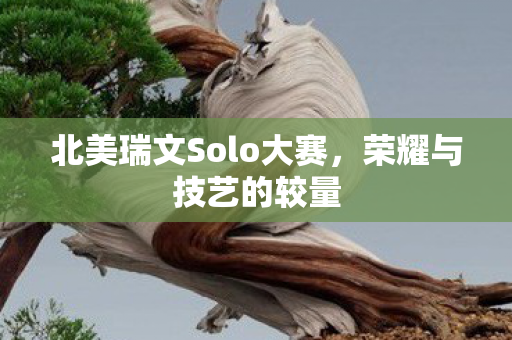 北美瑞文Solo大赛,荣耀与技艺的较量 北美瑞文Solo大赛,荣耀与技艺的较量