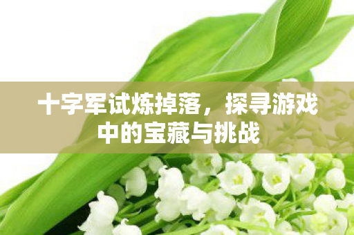 十字军试炼掉落，探寻游戏中的宝藏与挑战
