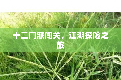 十二门派闯关，江湖探险之旅