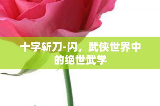 十字斩刀-闪,武侠世界中的绝世武学 十字斩刀-闪,武侠世界中的绝世武学