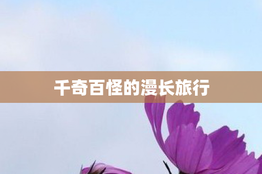 千奇百怪的漫长旅行