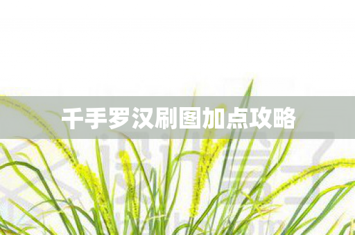 千手罗汉刷图加点攻略