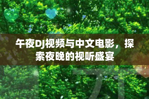 午夜DJ视频与中文电影，探索夜晚的视听盛宴