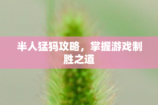 半人猛犸攻略,掌握游戏制胜之道 半人猛犸攻略,掌握游戏制胜之道