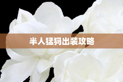 半人猛犸出装攻略