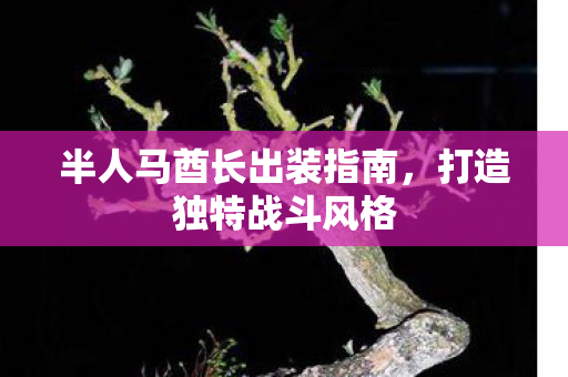 半人马酋长出装指南，打造独特战斗风格