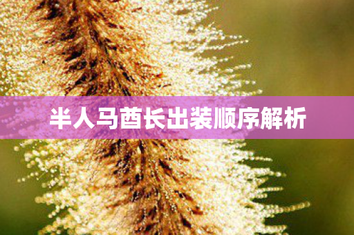 半人马酋长出装顺序解析 半人马酋长出装顺序解析