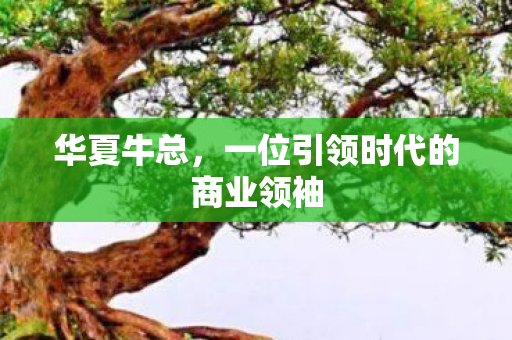 华夏牛总，一位引领时代的商业领袖